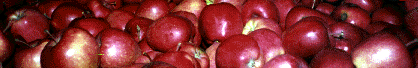 lotsaapples.gif